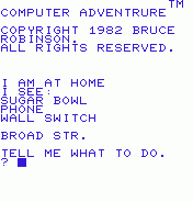 Computer Adventure